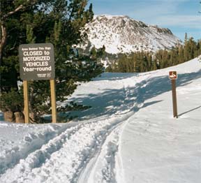 Image of snowmobile trespass